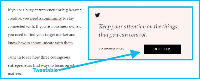 social media analytics tools - ContentStudio