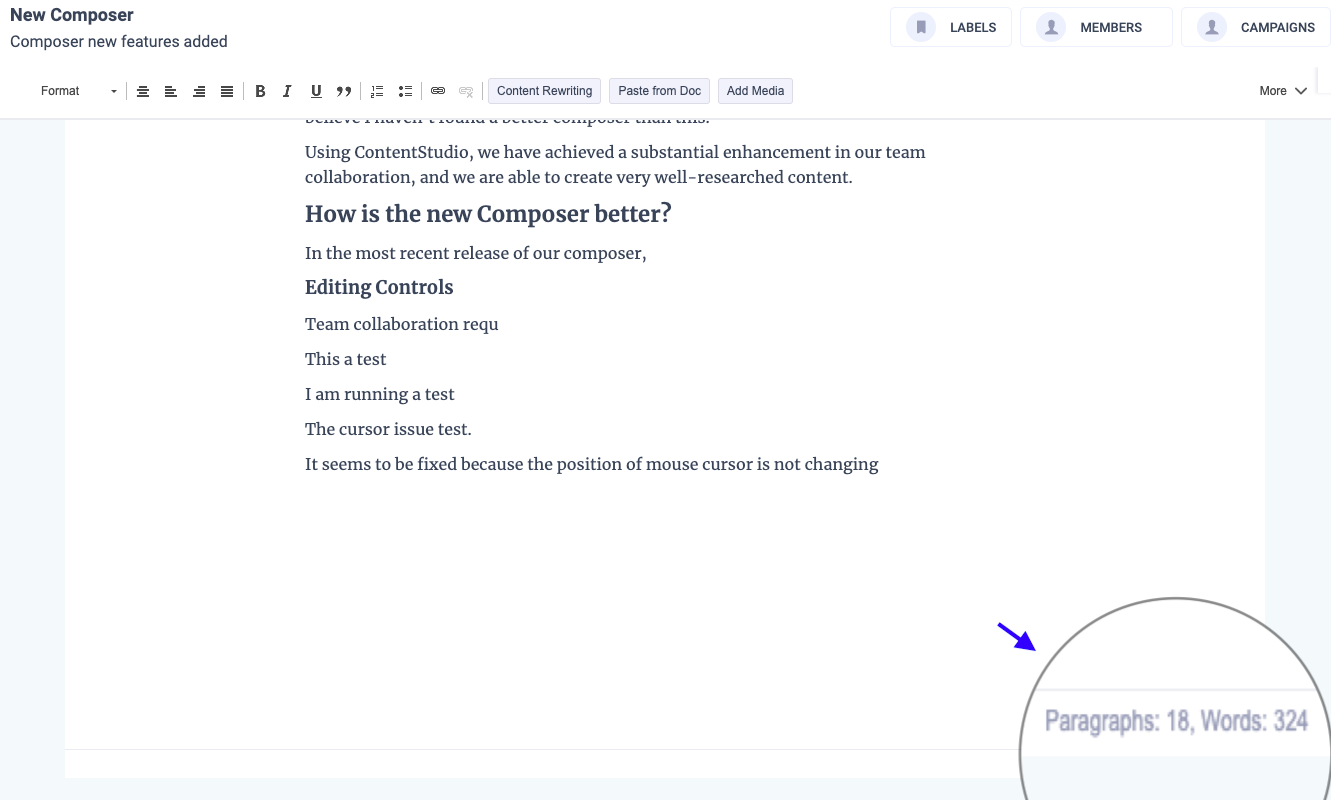 ContentStudio Composer - Word and Paragraph Count