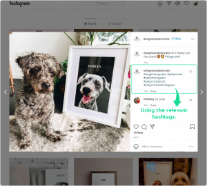 Designer Pet Portraits on Instagram