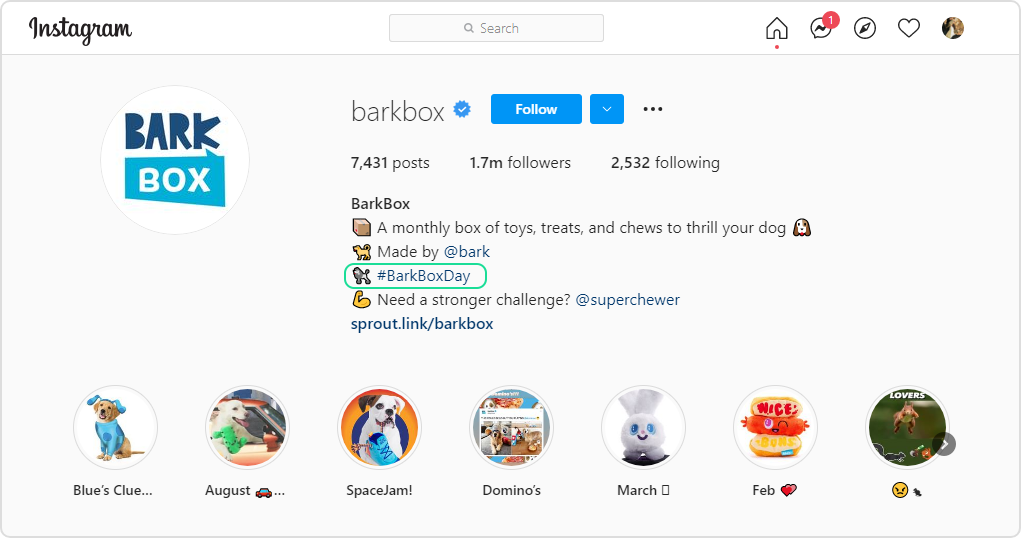 Bark Box Instagram