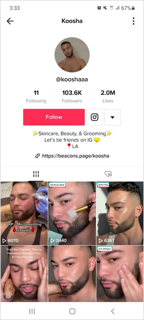 Tiktok post example koosha