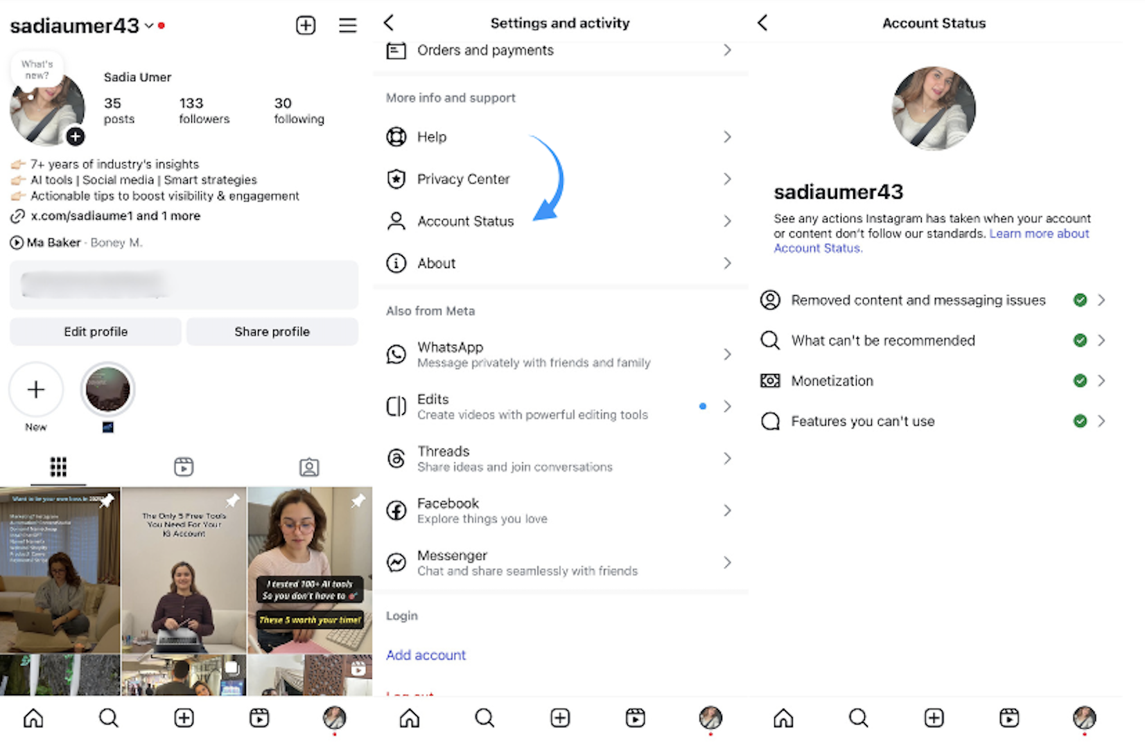 Using Instagram's account status feature