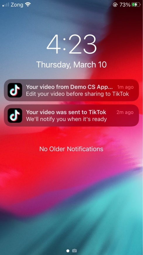 tiktok notifications