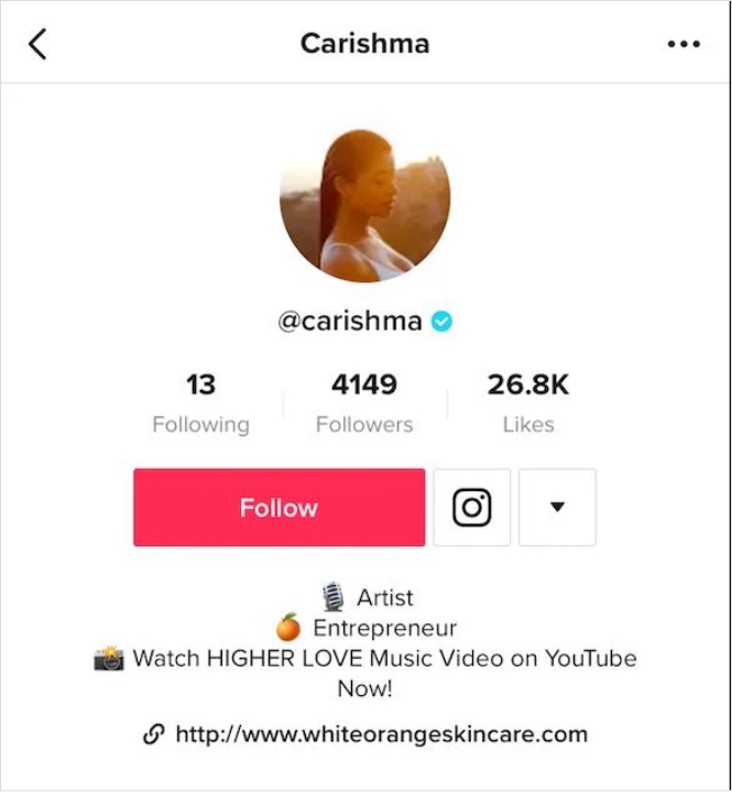 Tiktok profile description