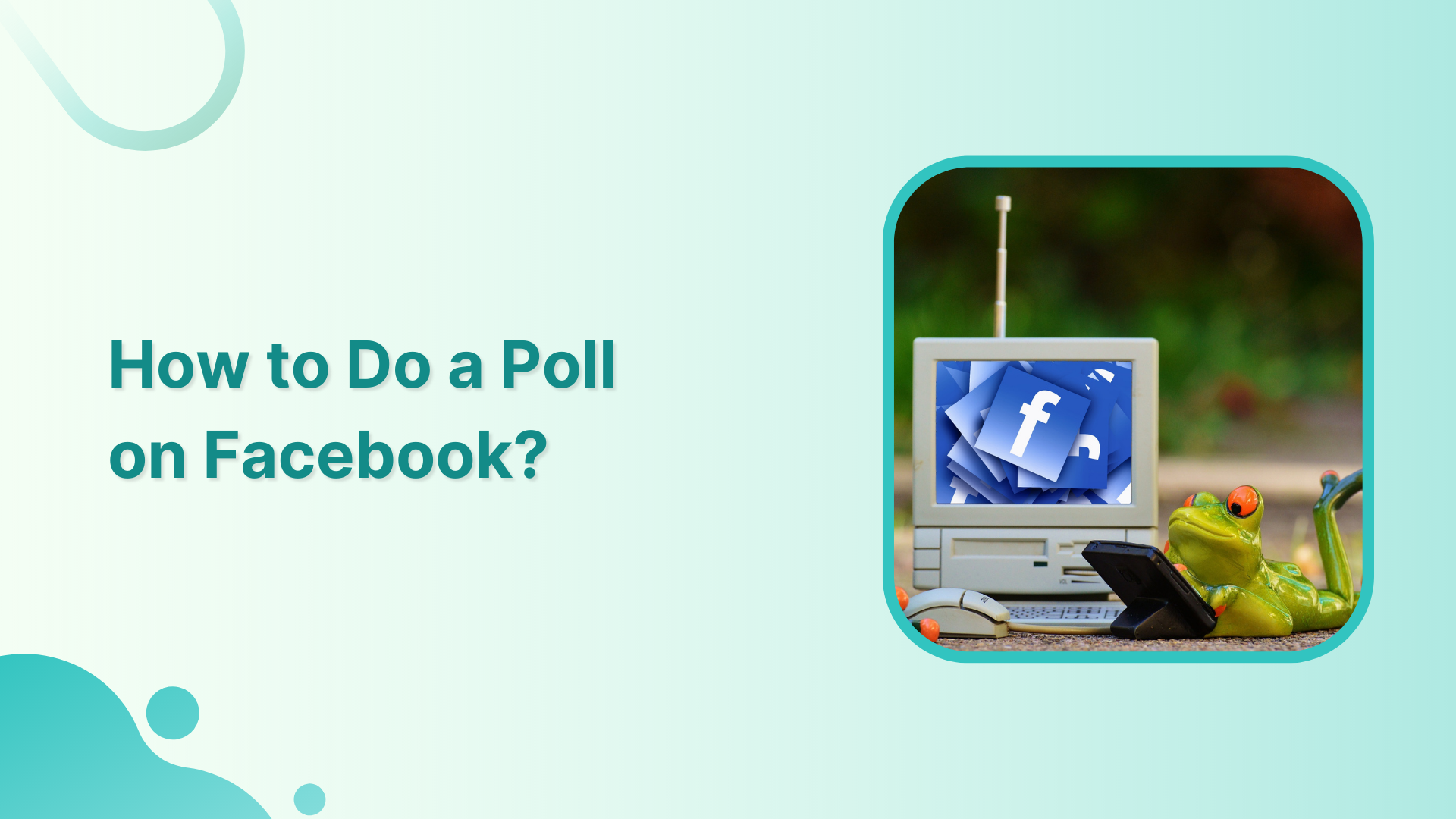 How to Do a Poll on Facebook?