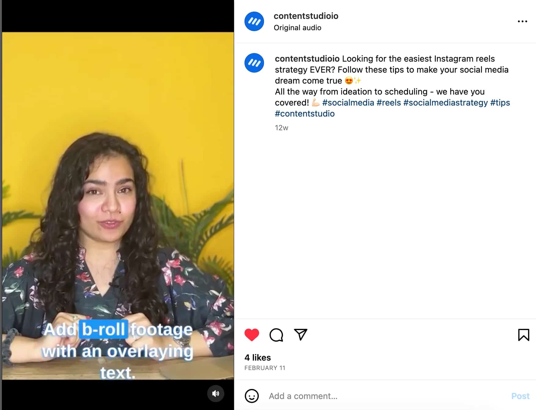 Check Your Branding, Voice, and Aesthetic