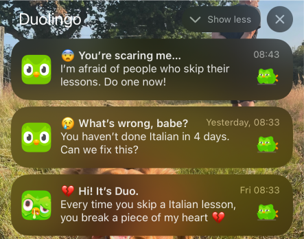Duolingo 