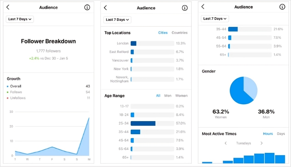 Acess Instagram analytics