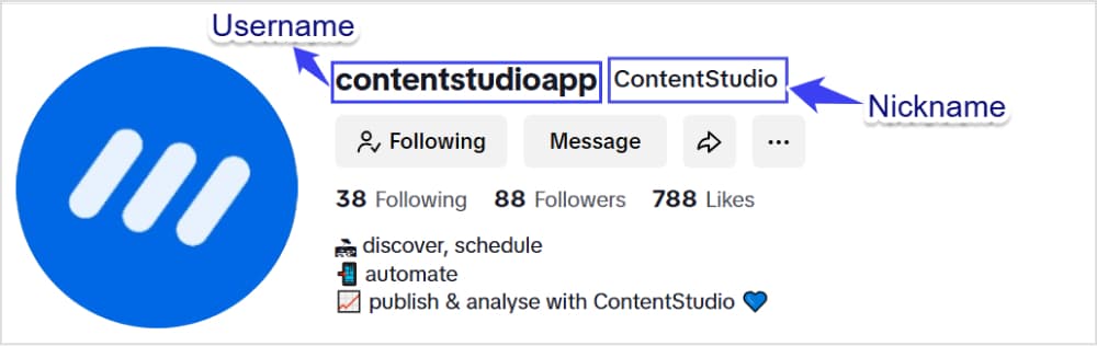 TikTok Username and Nickname