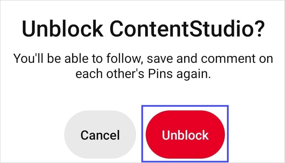 Confirm Pinterest Unblock on App