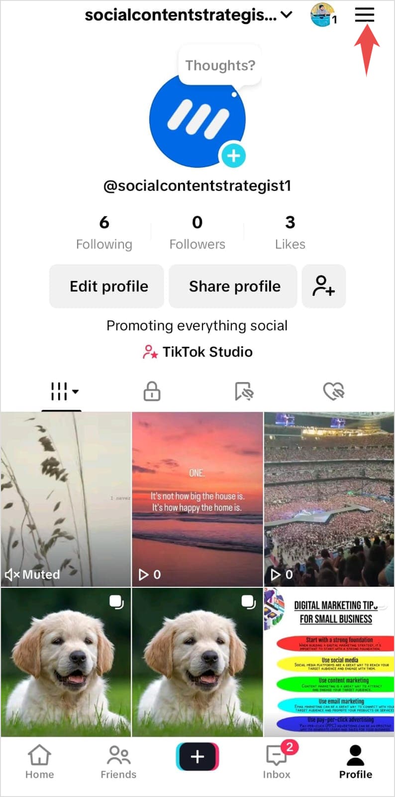 Open Settings from TikTok Profile