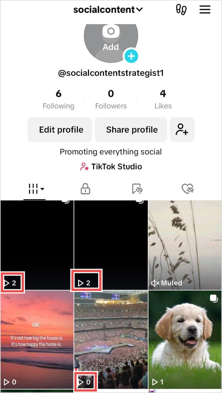 Instagram Video View Count