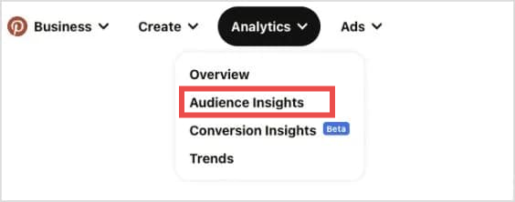 Open Pinterest Audience Insights