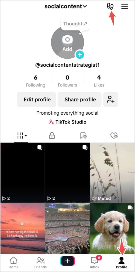 Open TikTok Profile Views