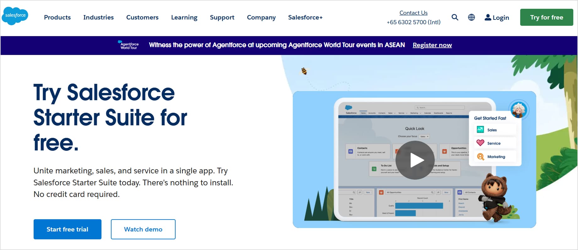 Salesforce Website