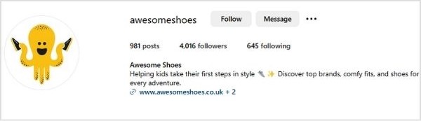 Instagram profile of Awesome Shoes with a clean and simple handle, @AwesomeShoes.