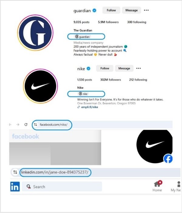 Examples of social media handles on Instagram, Facebook, and LinkedIn for brands