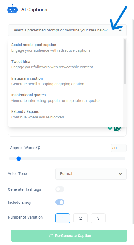 predefined prompt