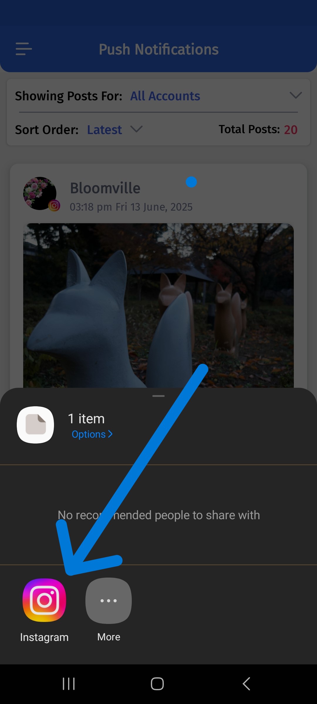 Choose Instagram icon