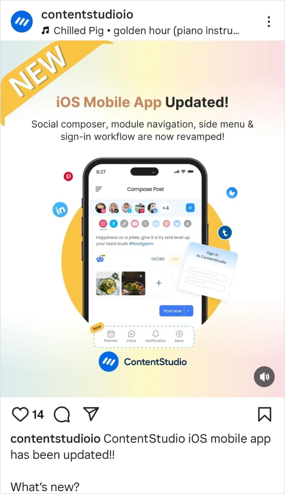 Instagram single image post