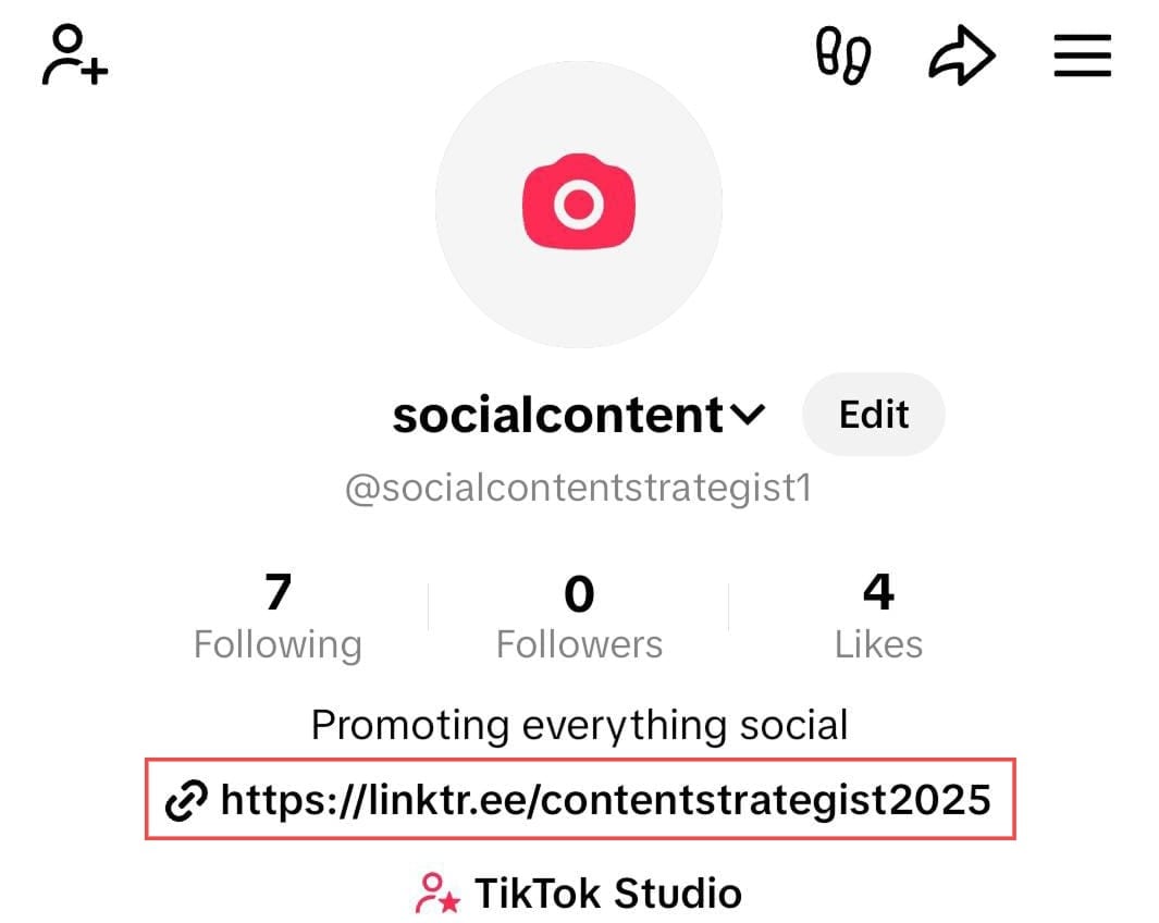 Linktree link in TikTok bio 