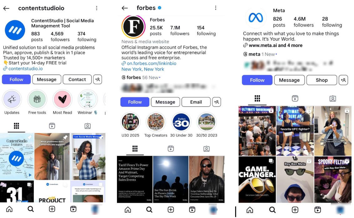 Optimized Instagram profiles