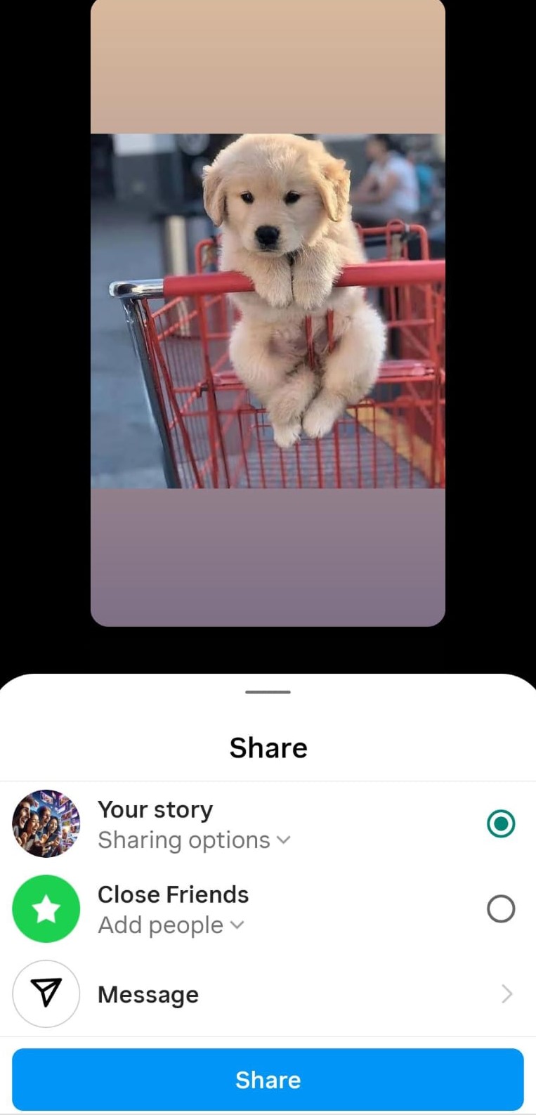 Select your audience and post