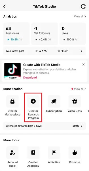 TikTok creators reward program