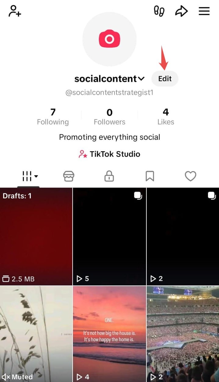 TikTok profile