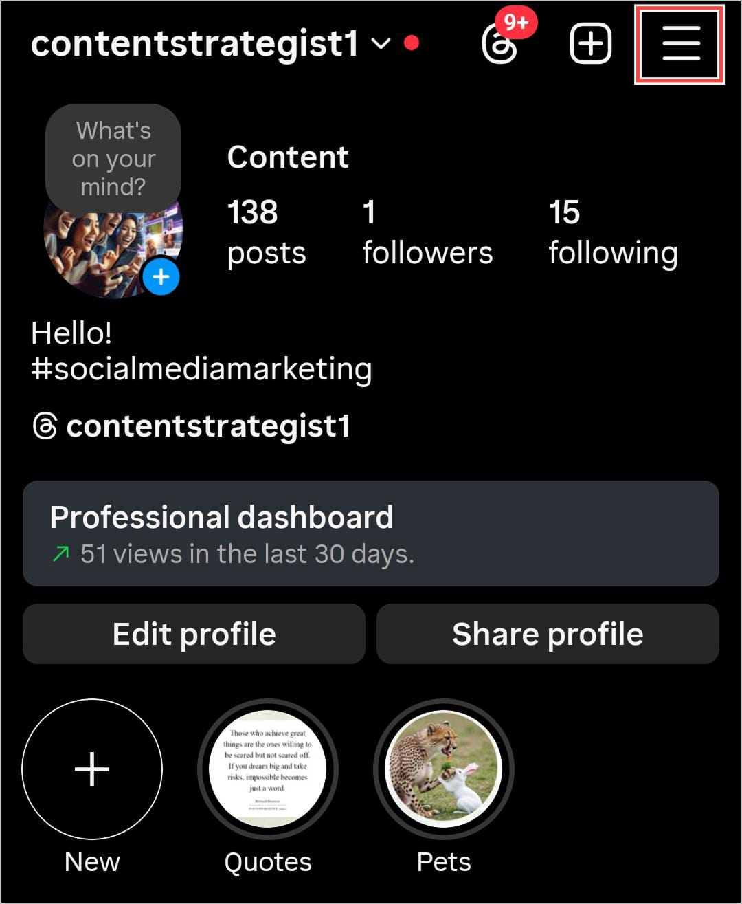Go to your Instagram profile