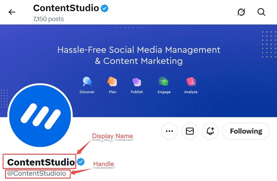 Twitter handle vs displayname