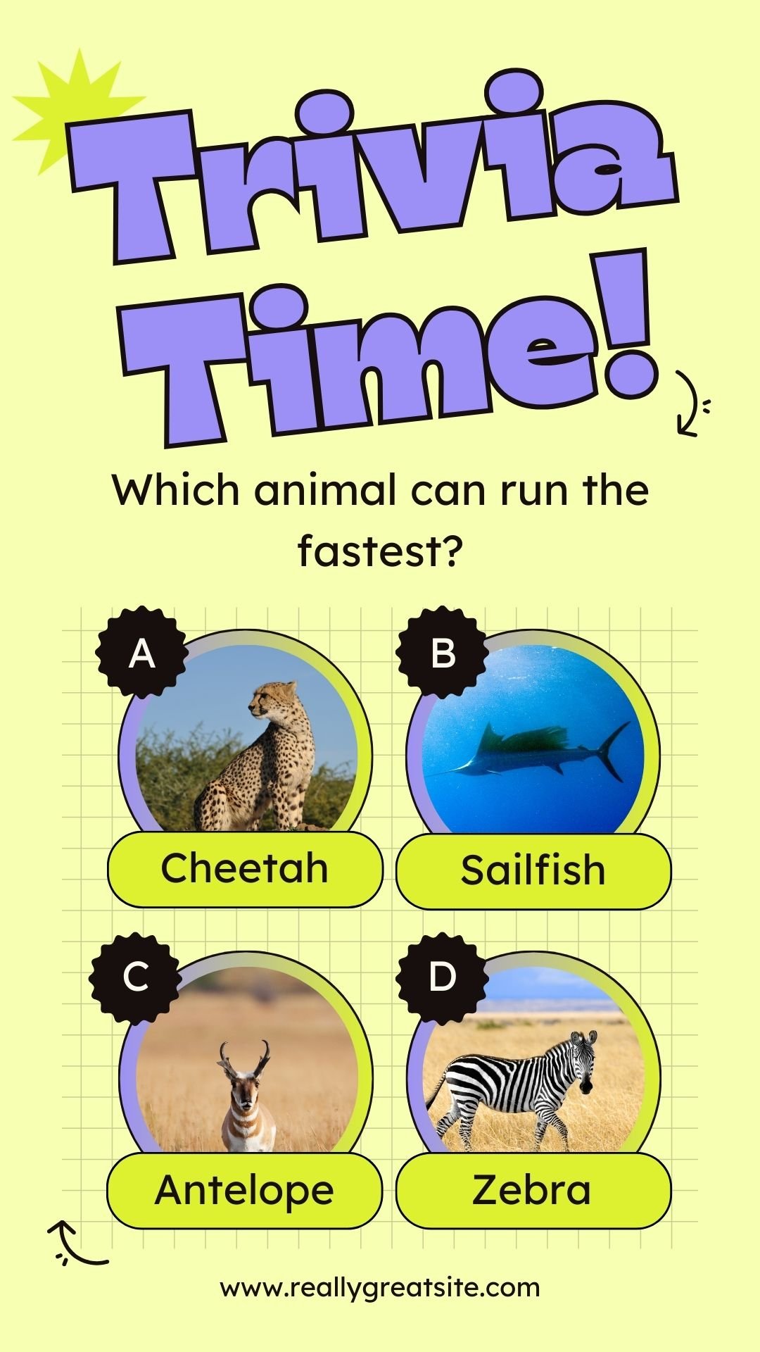Trivia story