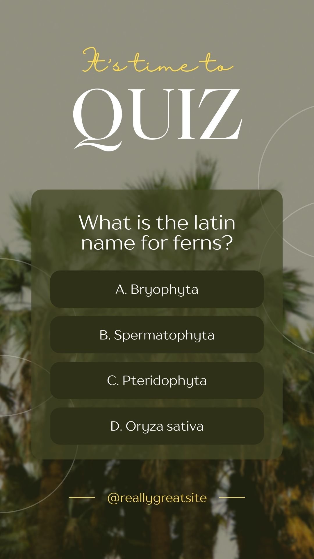 Quiz story