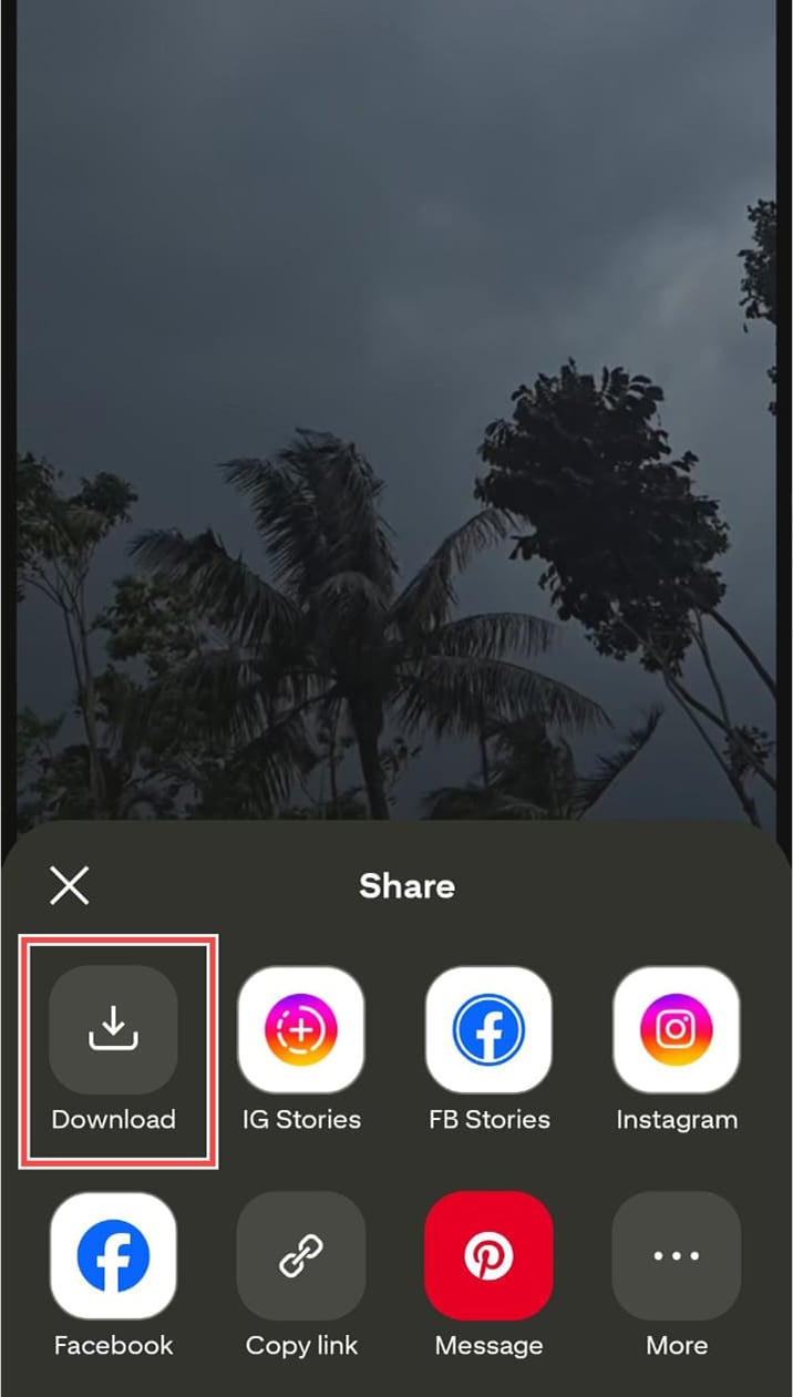 Download pin button