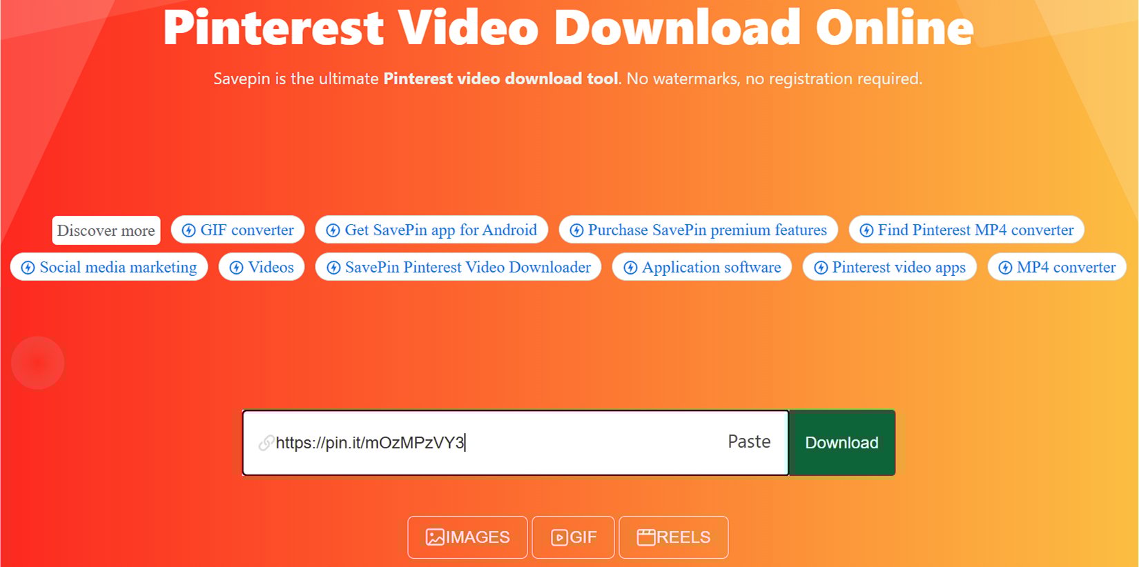 Paste Pin URL