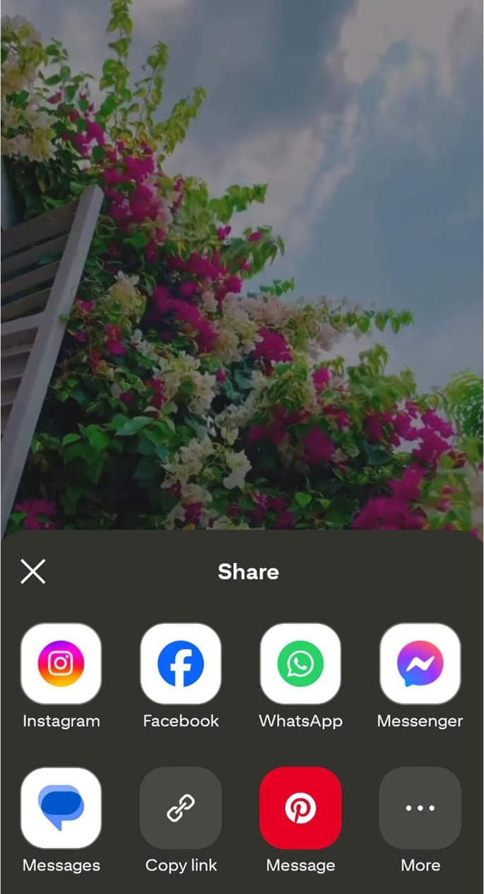 Pin without download button