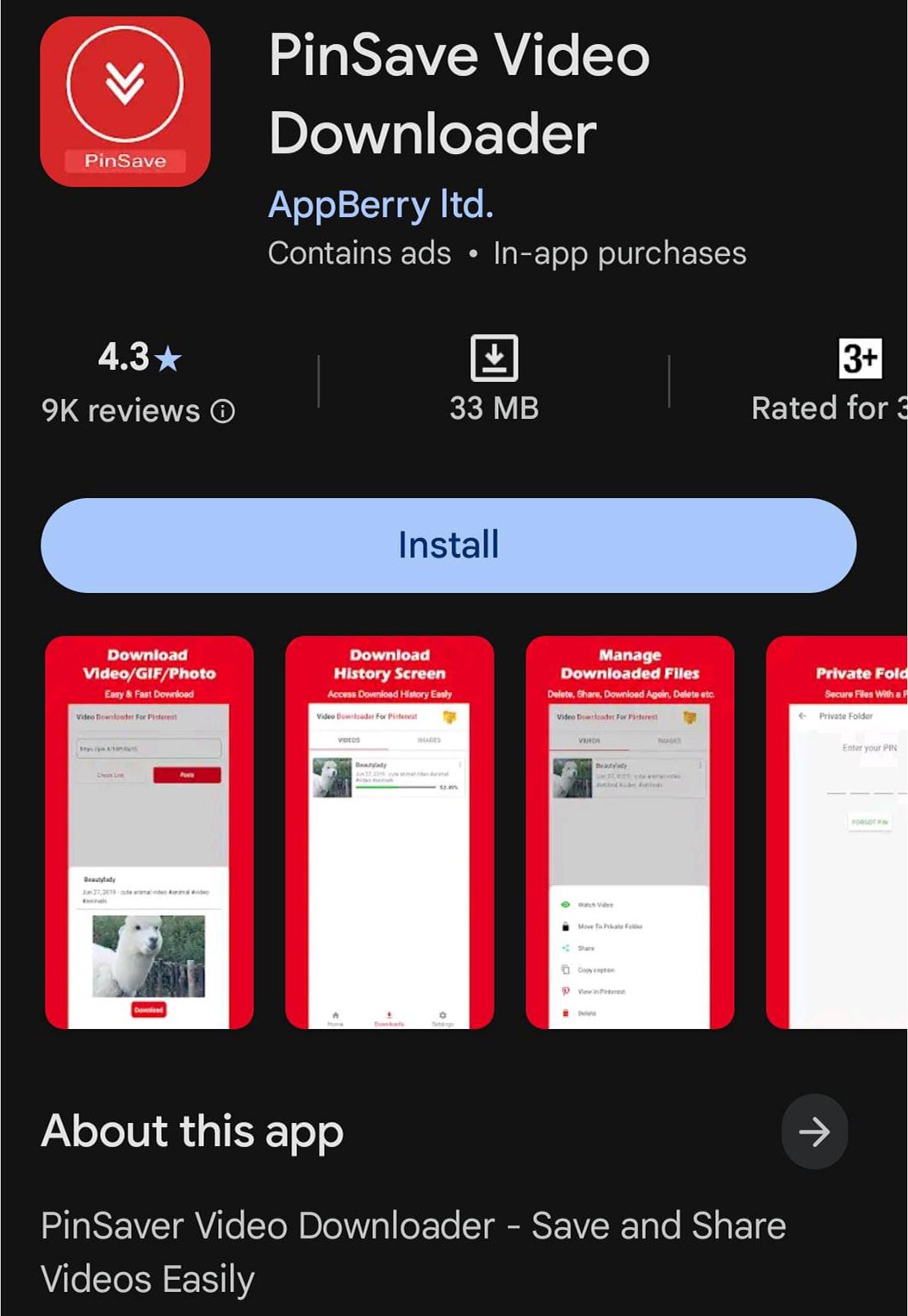 PinSave video downloader