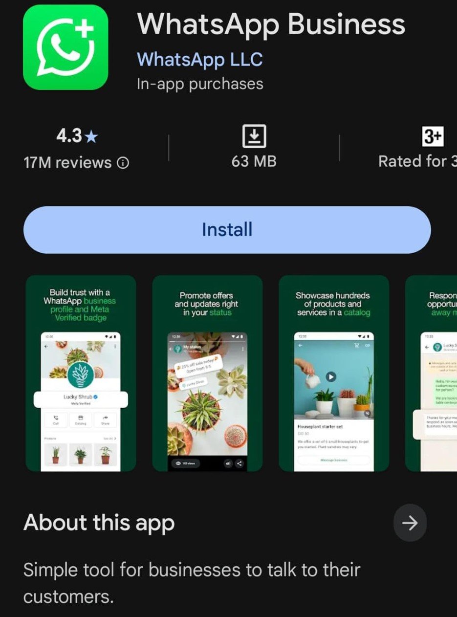 WhatsApp business app
