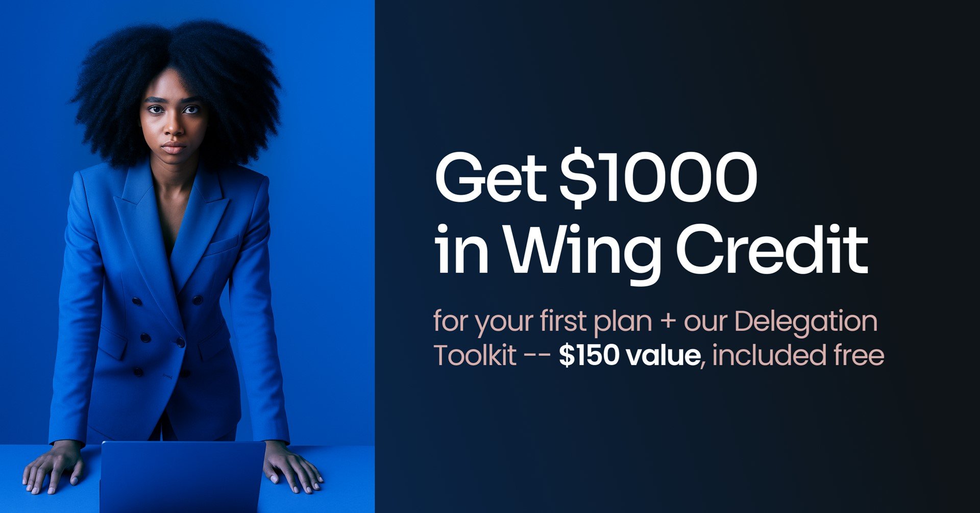 Wing Assistant Black Friday